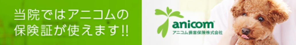 当院ではアニコムの保険証が使えます!!