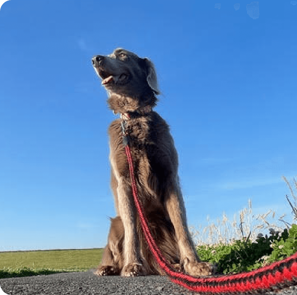 高尾動物病院のサイトをご訪問いただきありがとうございます